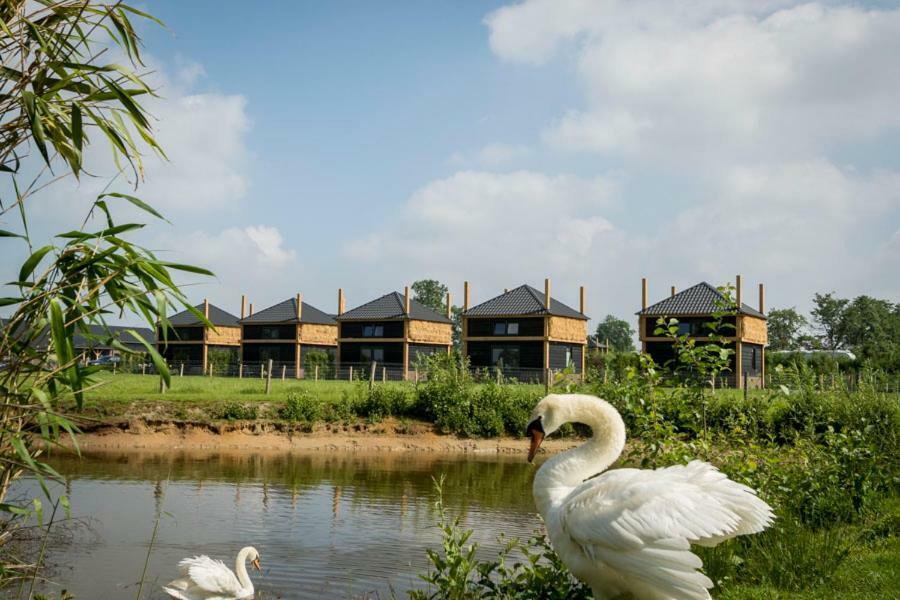 Camping Nieuw Romalo Вортхёйзен Экстерьер фото